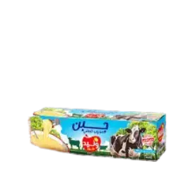 Fromage à tartiner Walid - 500g