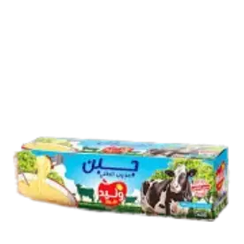 fromage à tartiner Walid - 700g